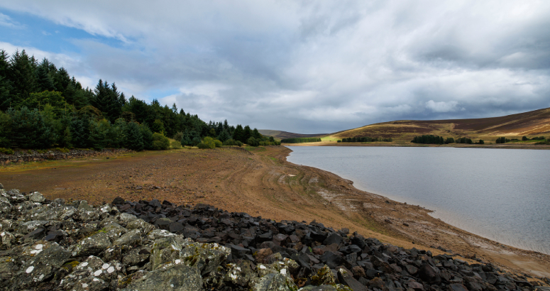 Image of reservoir
