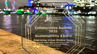 Institute of Collaborative Working Award